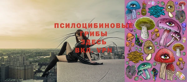 мет Балахна