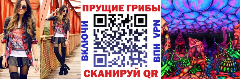 нарко площадка Telegram  Сусуман  Псилоцибиновые грибы Psilocybine cubensis 